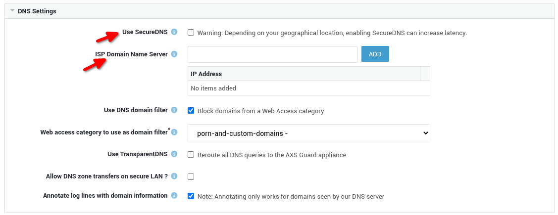 AXS Guard upstream DNS resolution